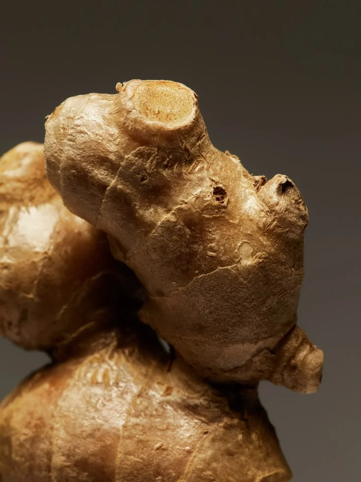 A ginger rhizome, cut to show its core